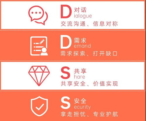 揭秘泛华代理人是如何为客户配置保险 专业流程与个性化服务